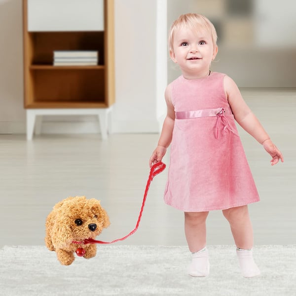 BuddyPaw - Jouet Interactif pour Chiens