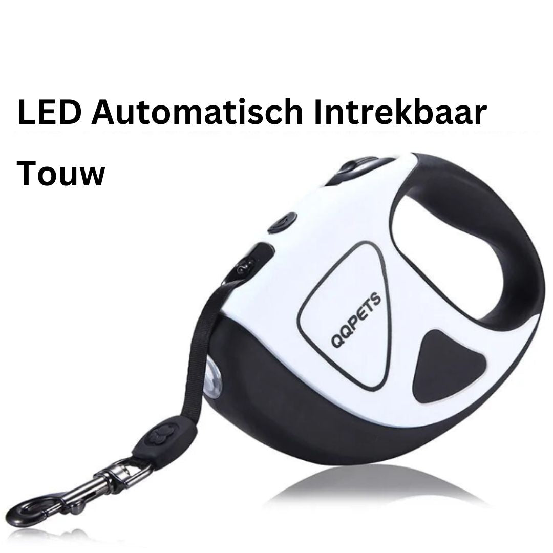 BrightLeash - Laisse Chien Rétractable LED 5/8m