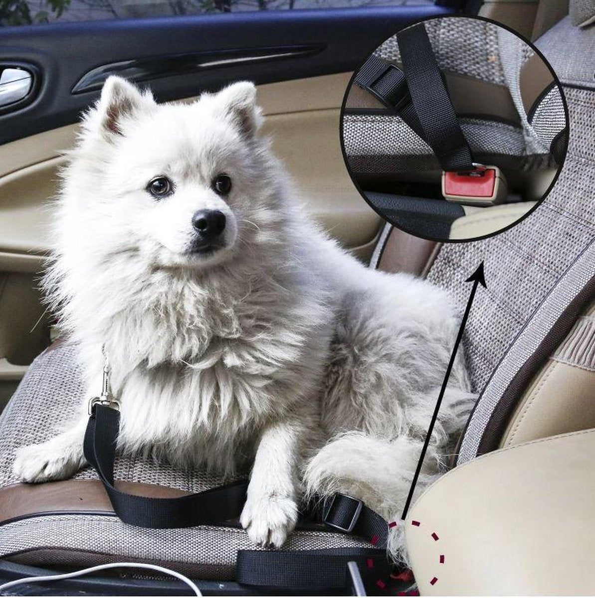 PetSecure - Ceinture de Sécurité Auto pour Animaux