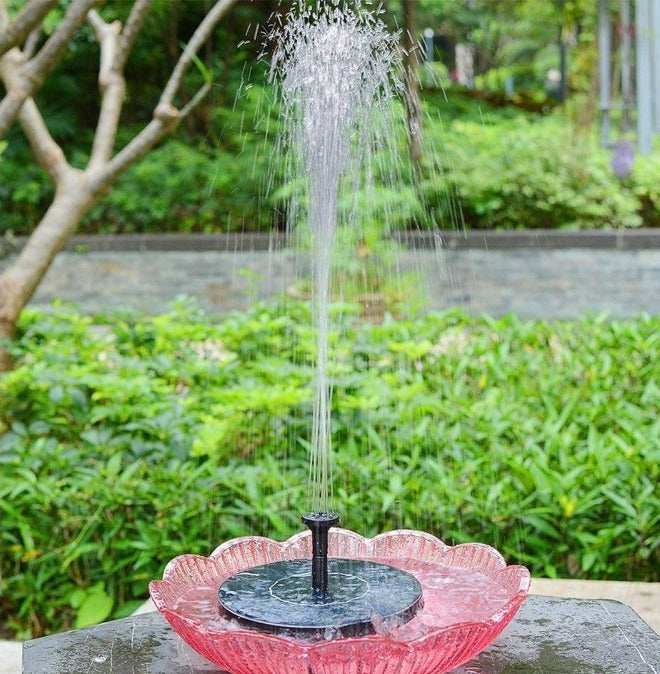 Flowbee - Fontaine solaire élégante pour les oiseaux du jardin