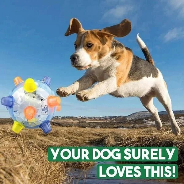Balle Lumineuse pour Chien | Jouet Interactif avec Effets LED | Stimule l'Activité et le Jeu Actif 4