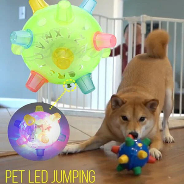 Balle Lumineuse pour Chien | Jouet Interactif avec Effets LED | Stimule l'Activité et le Jeu Actif 6
