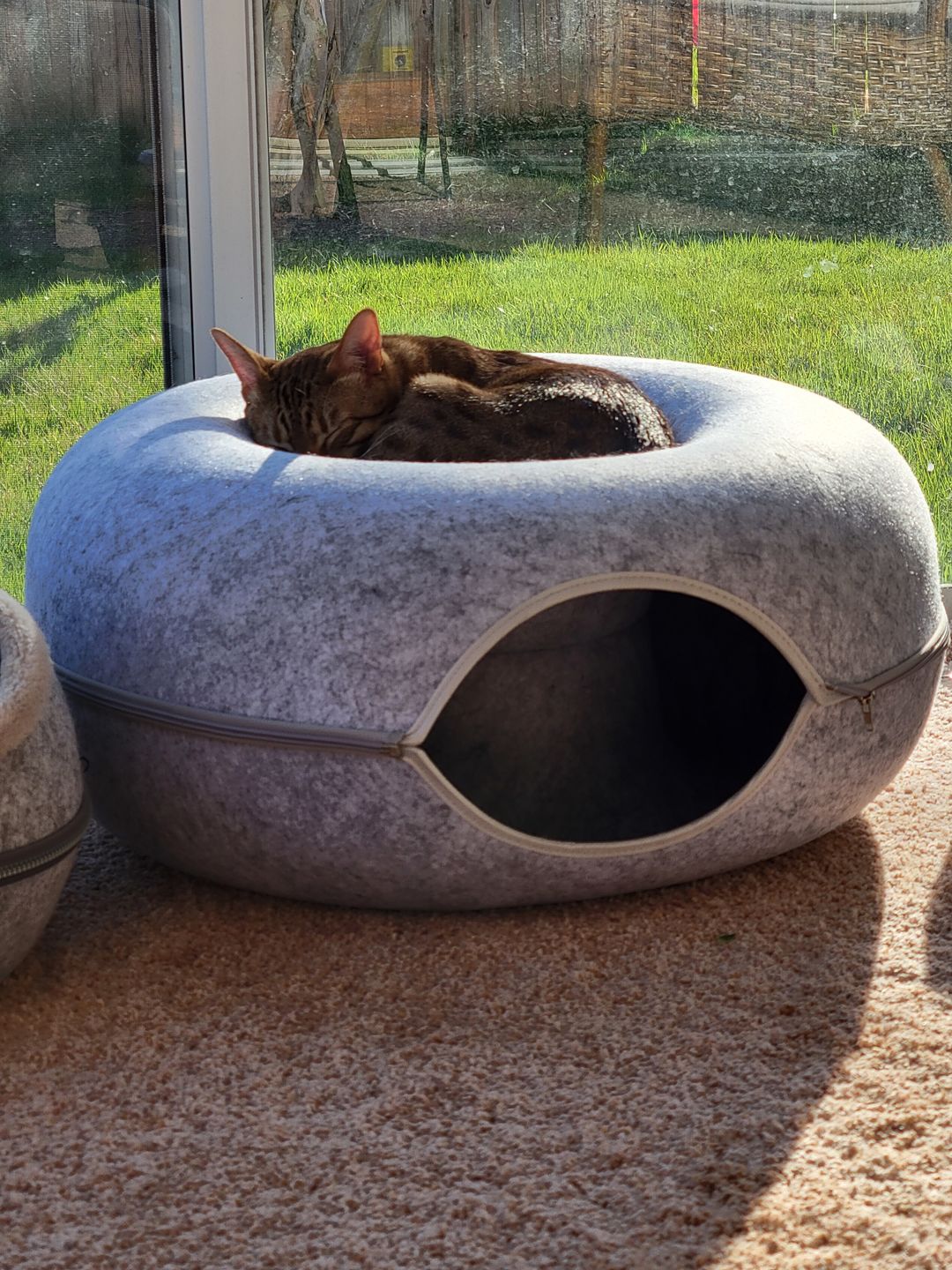 Purrfect Den - Tunnel Chat Luxe avec Couchage 50cm
