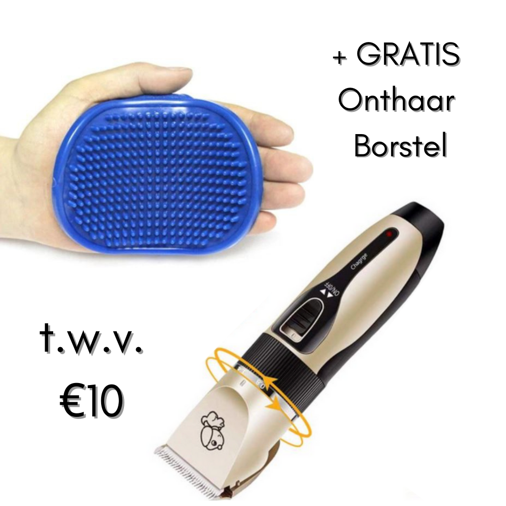 Pett Groomer - Tondeuse et Brosse Pro pour Chiens