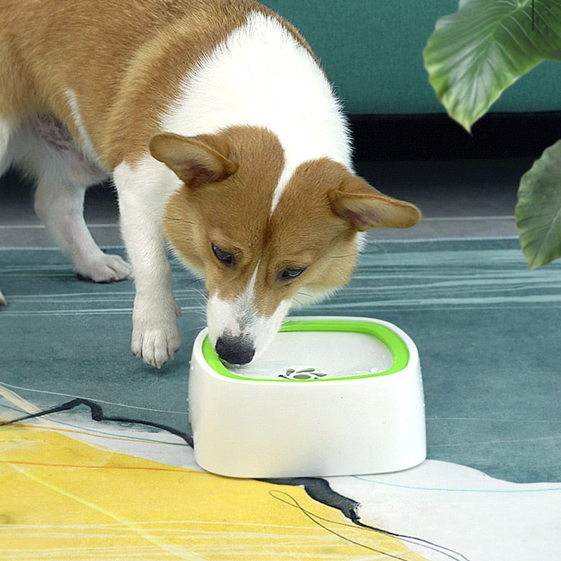 Pet Splash Bowl - Fontaine à Eau Animaux
