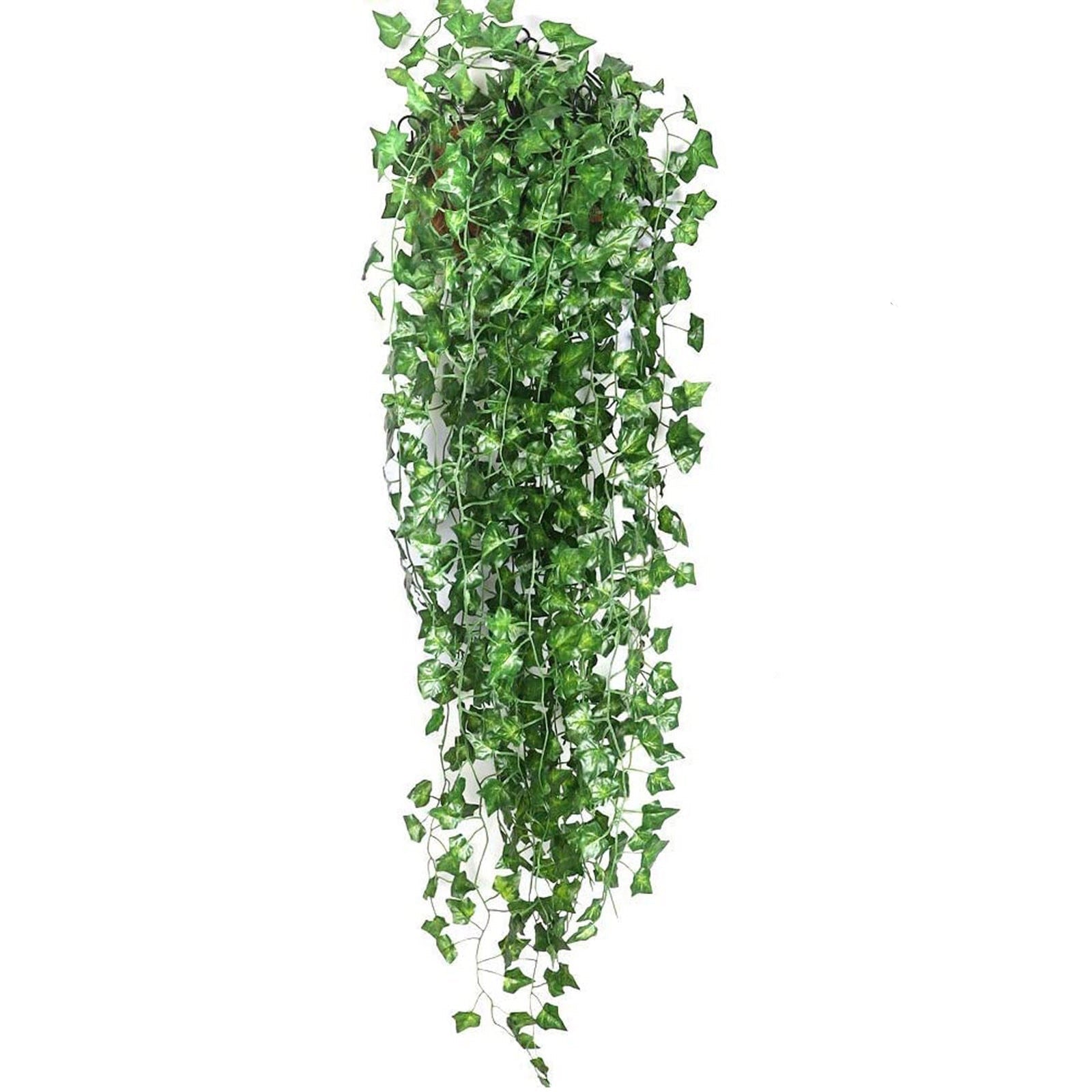 EvergreenGlow – Plantes Vertes Toujours en Saison