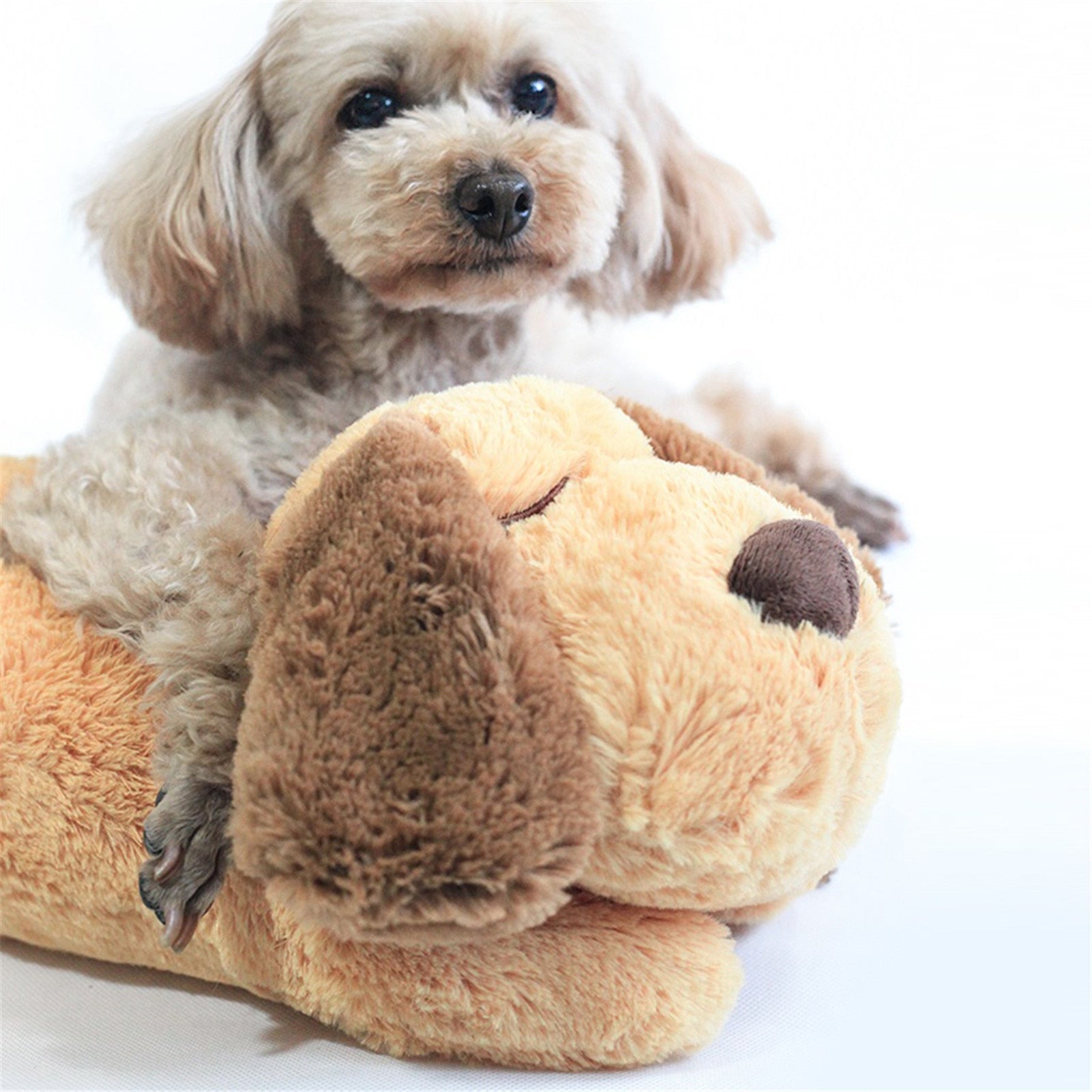CuddlePup - Compagnon de Jeu Confortable pour Chiens
