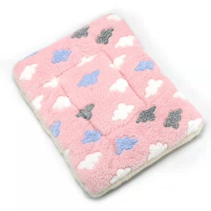 PetCloud - Coussin Ultra Confortable pour Animaux