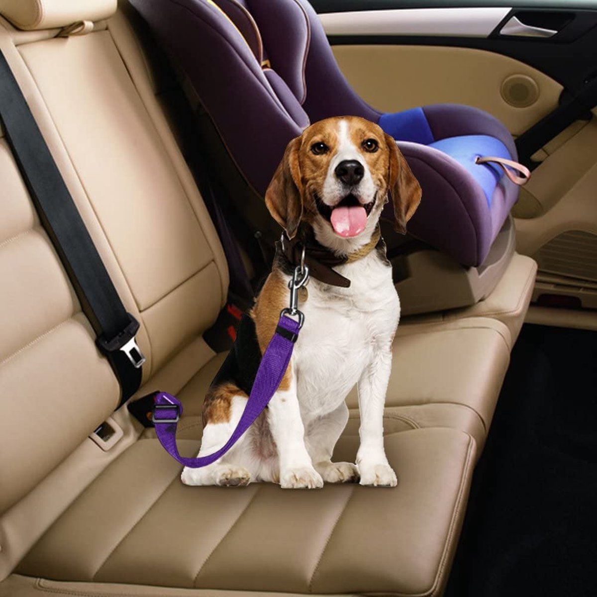 PetSecure - Ceinture de Sécurité Auto pour Animaux