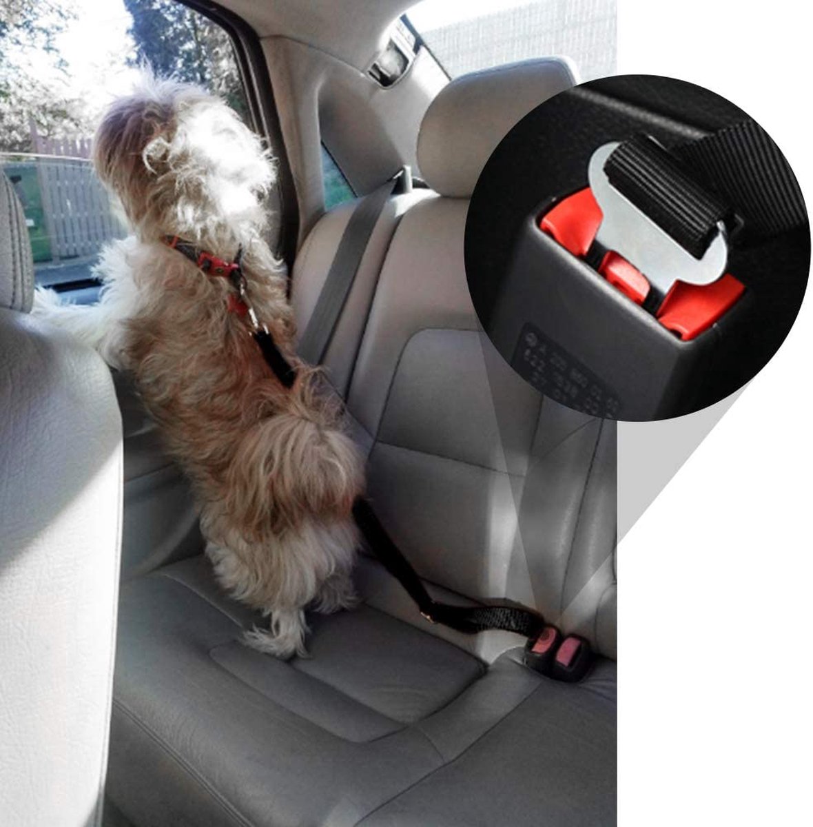 PetSecure - Ceinture de Sécurité Auto pour Animaux
