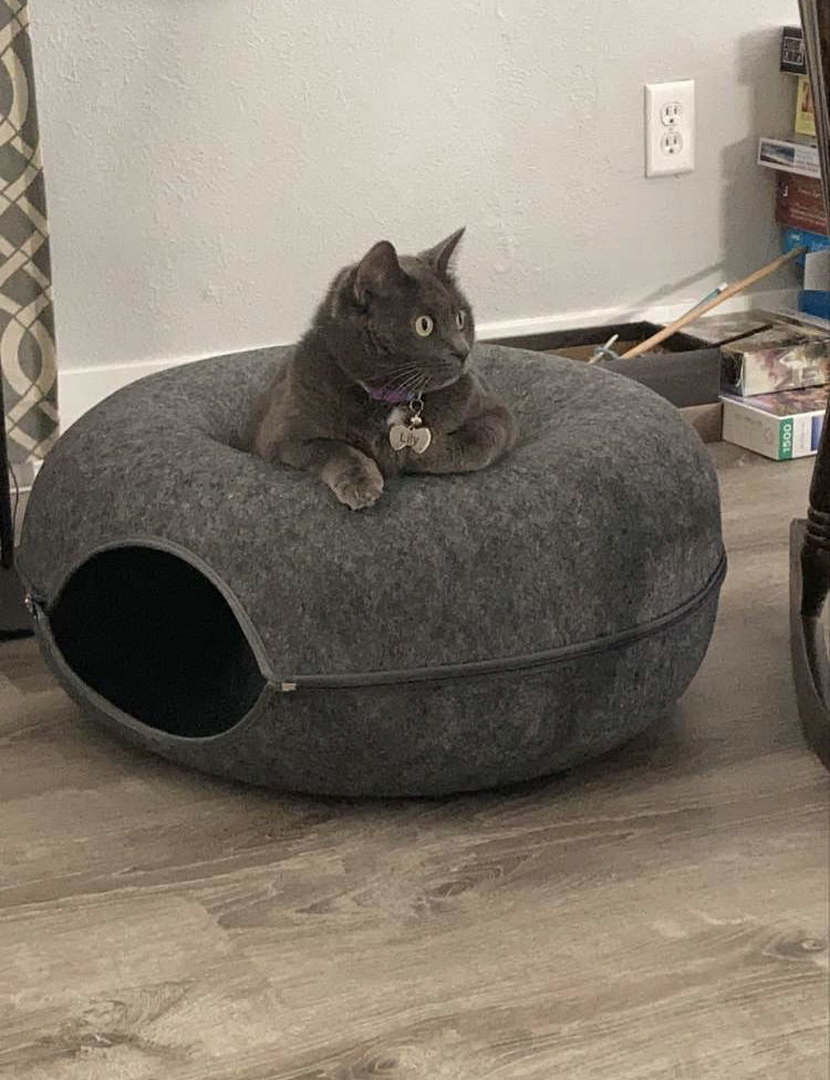 Purrfect Den - Tunnel Chat Luxe avec Couchage 50cm
