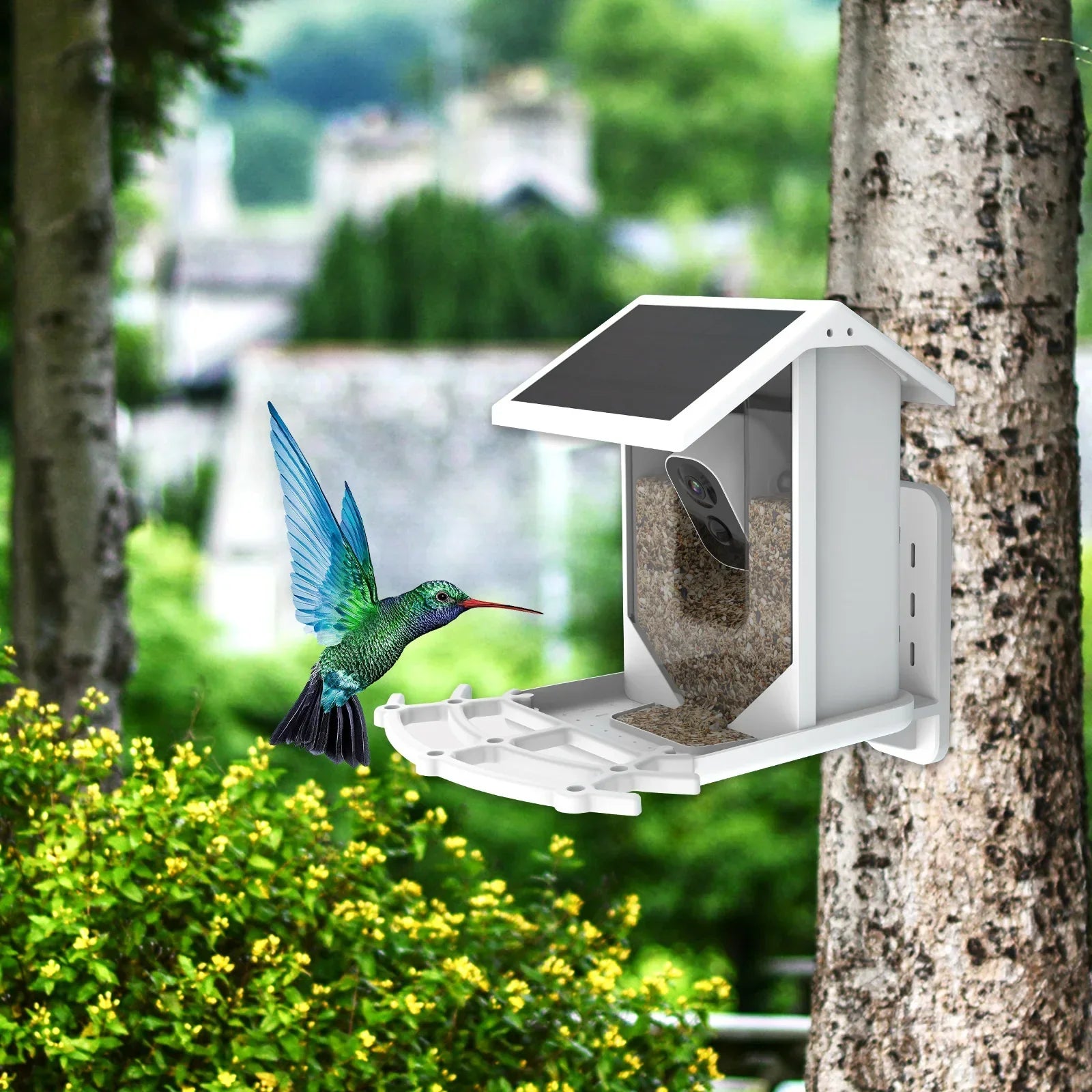 Mangeoire à Oiseaux Solaire sans Fil - Caméra HD avec Reconnaissance IA