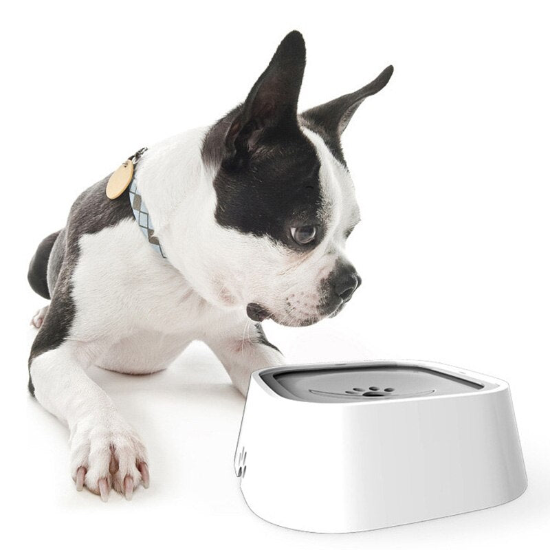 SplashGuard - Gamelle Anti-Éclaboussures pour Chien