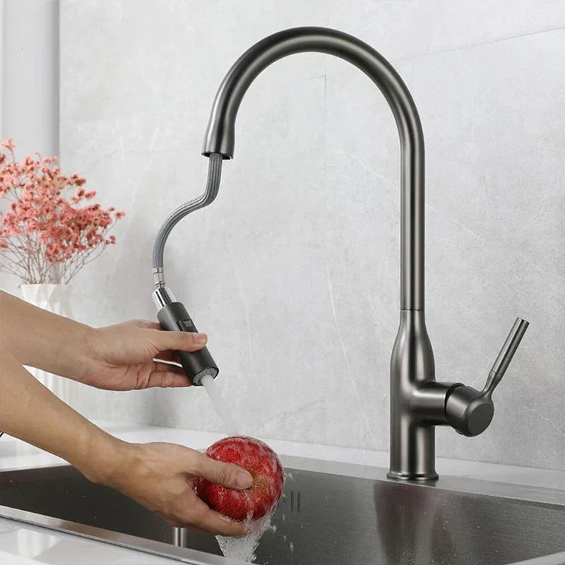 AquaStream Luxe - Robinet de Cuisine Réglable avec Douchette