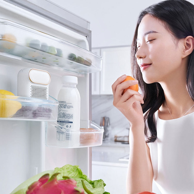 FreshBreeze - Désodorisant Réfrigérateur Anti-Odeurs