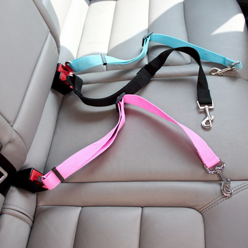 SafePaw - Laisse Auto Luxe pour Sécurité en Voiture