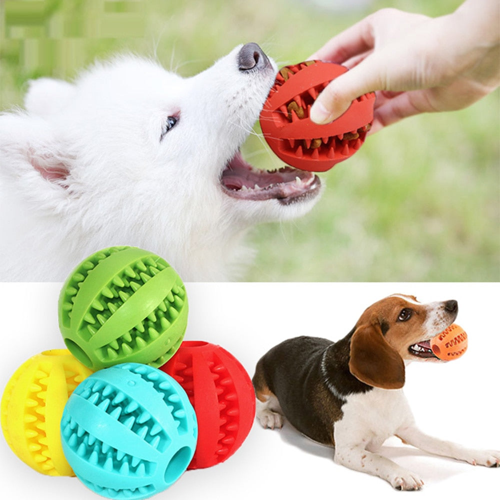 PlayMaster - Jouet Interactif Durable pour Chiens