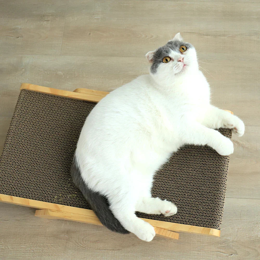 Smatch - Griffoir Chat Design Minimaliste Bois