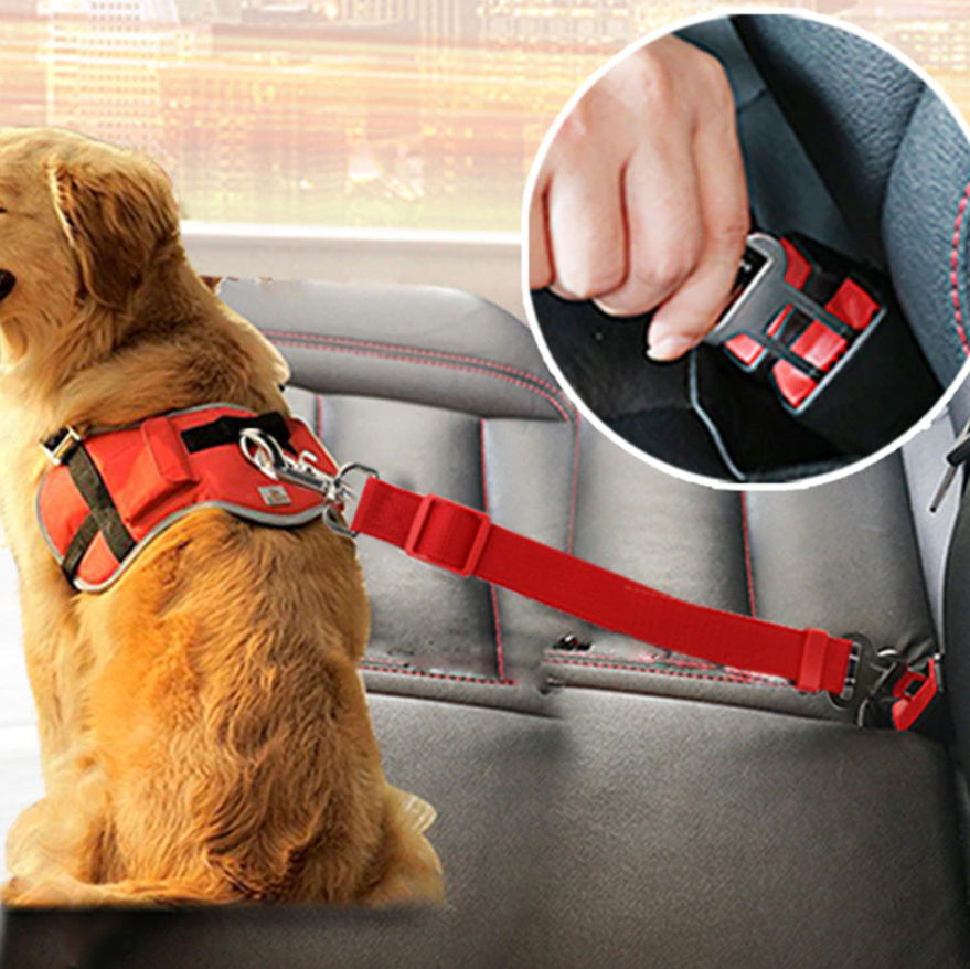 SafePaw - Laisse Auto Luxe pour Sécurité en Voiture