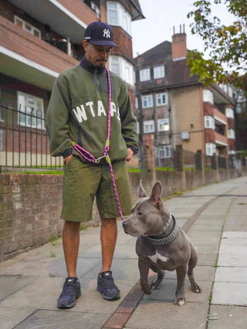 FreedomLeash - Laisse Chien Mains Libres Innovante