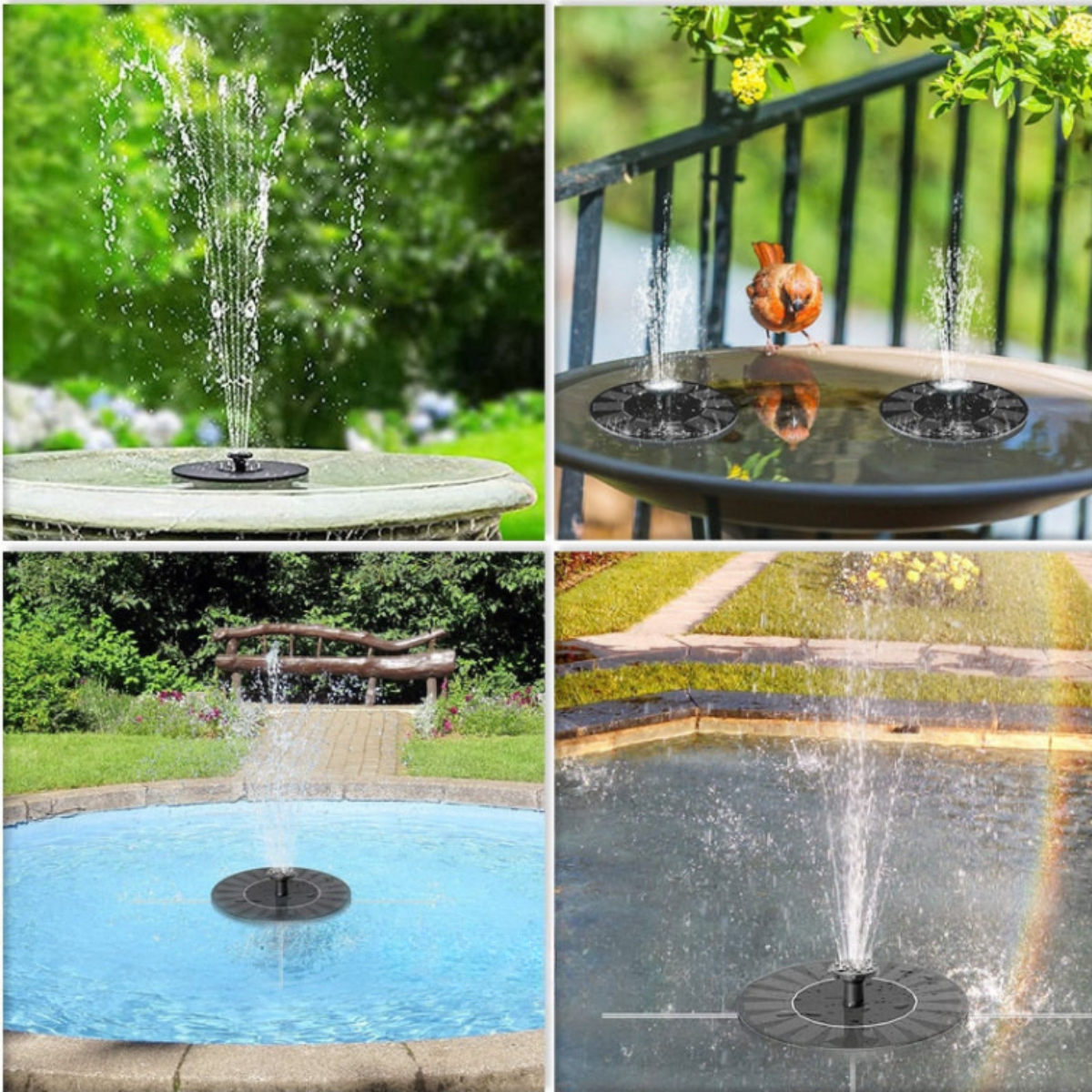 Birdbuddy - Fontaine à Oiseaux Solaire Écologique pour Jardin
