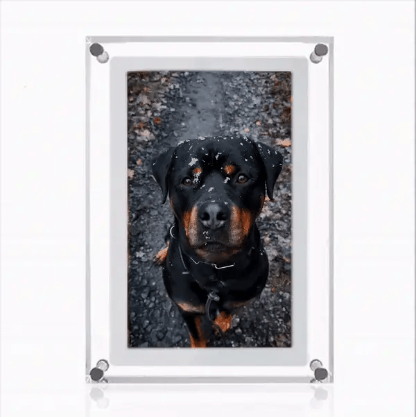 Nuvelli - Cadre photo numérique pour immortaliser vos plus beaux souvenirs
