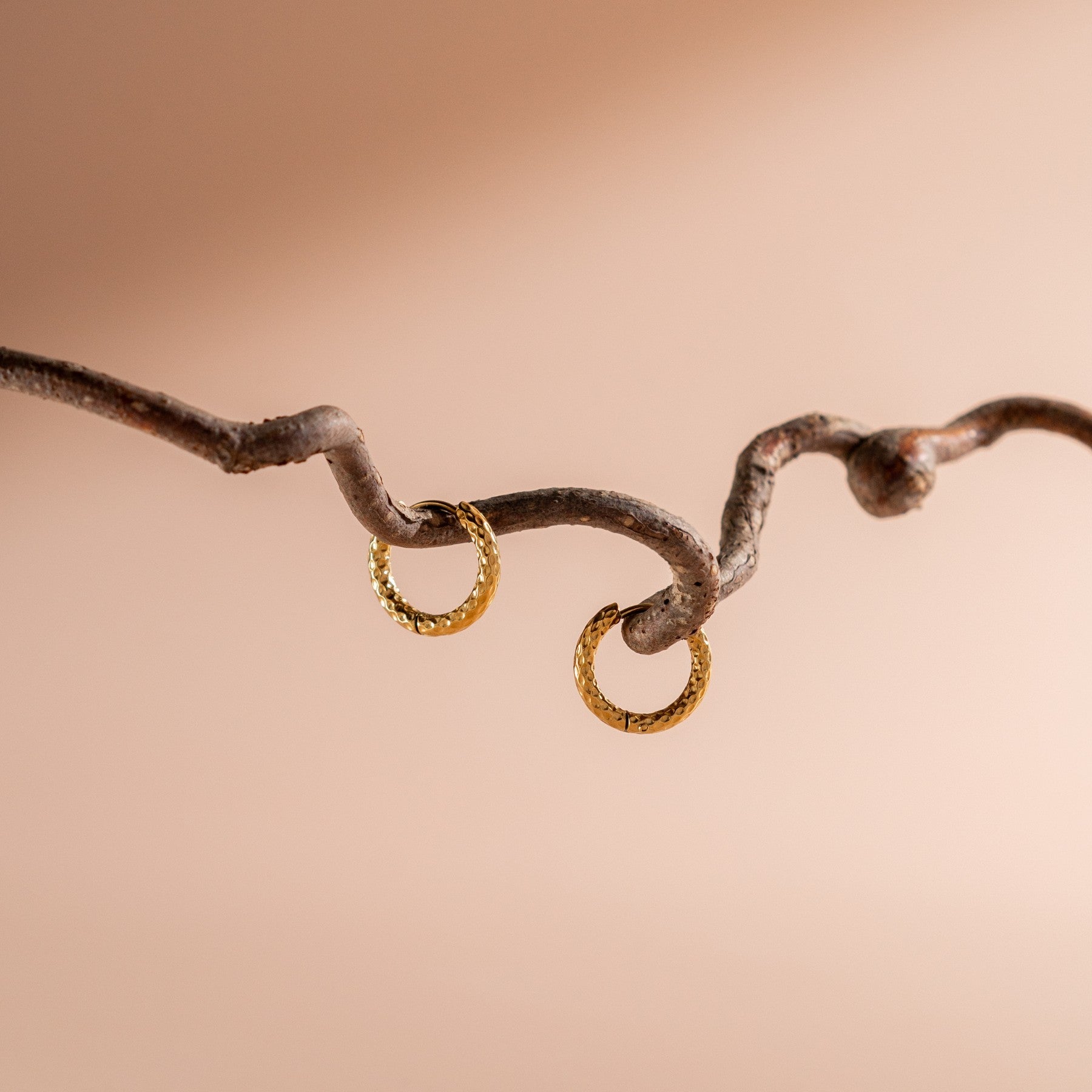 Livia - Boucles d'oreilles anneaux martelés