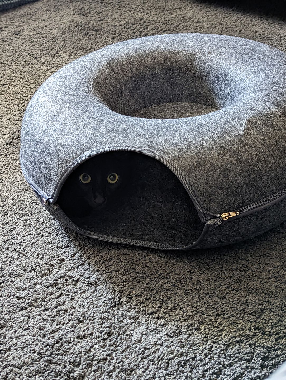 Purrfect Den - Tunnel Chat Luxe avec Couchage 50cm