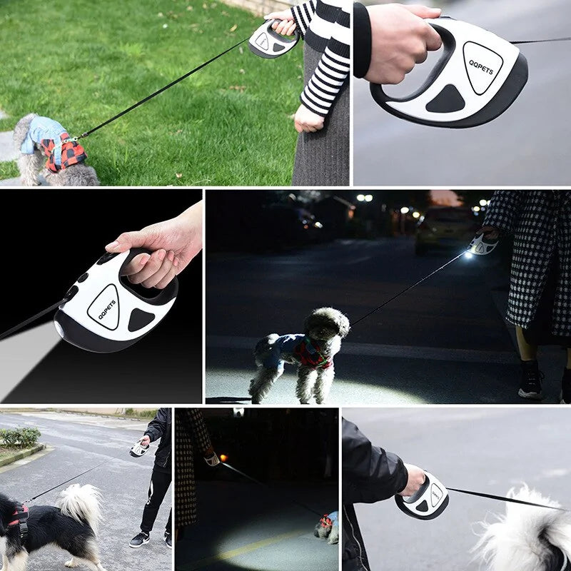 BrightLeash - Laisse Chien Rétractable LED 5/8m