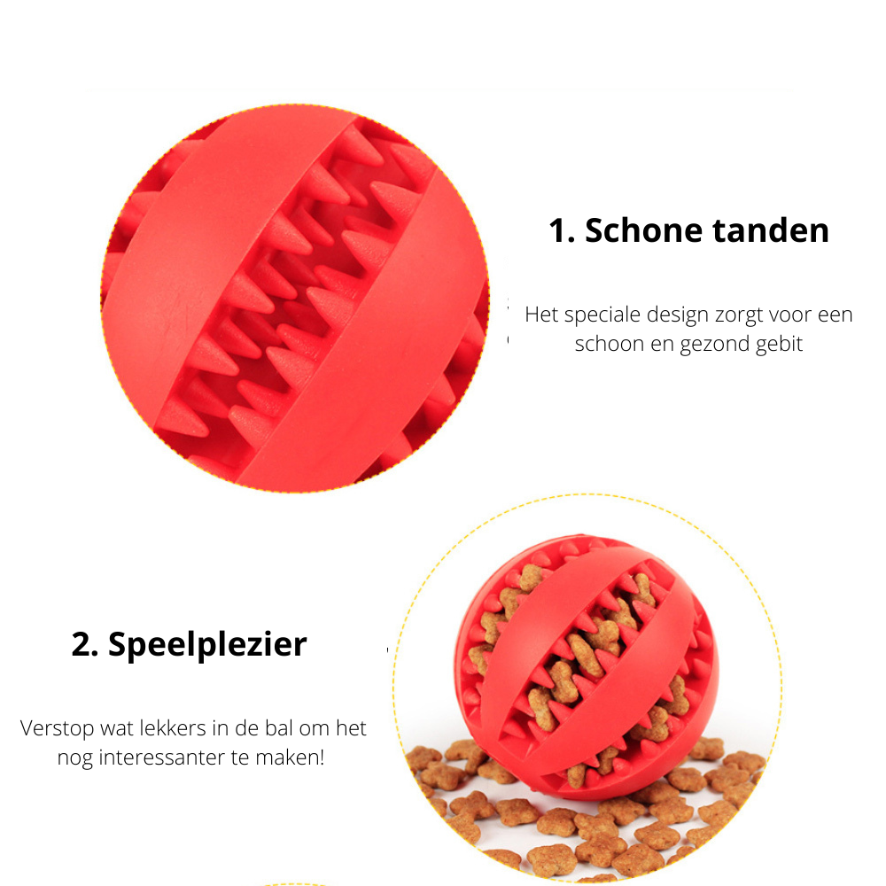 PlayMaster - Jouet Interactif Durable pour Chiens