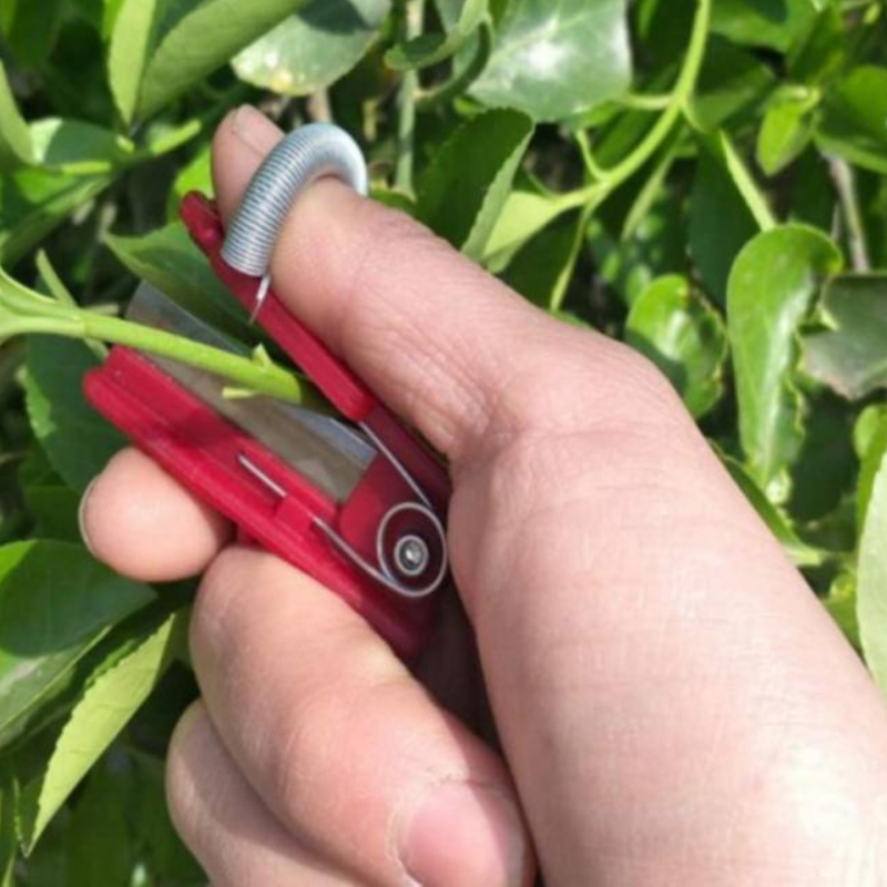 GardenGrip Tool – Cueillette Légumes et Fruits Facile