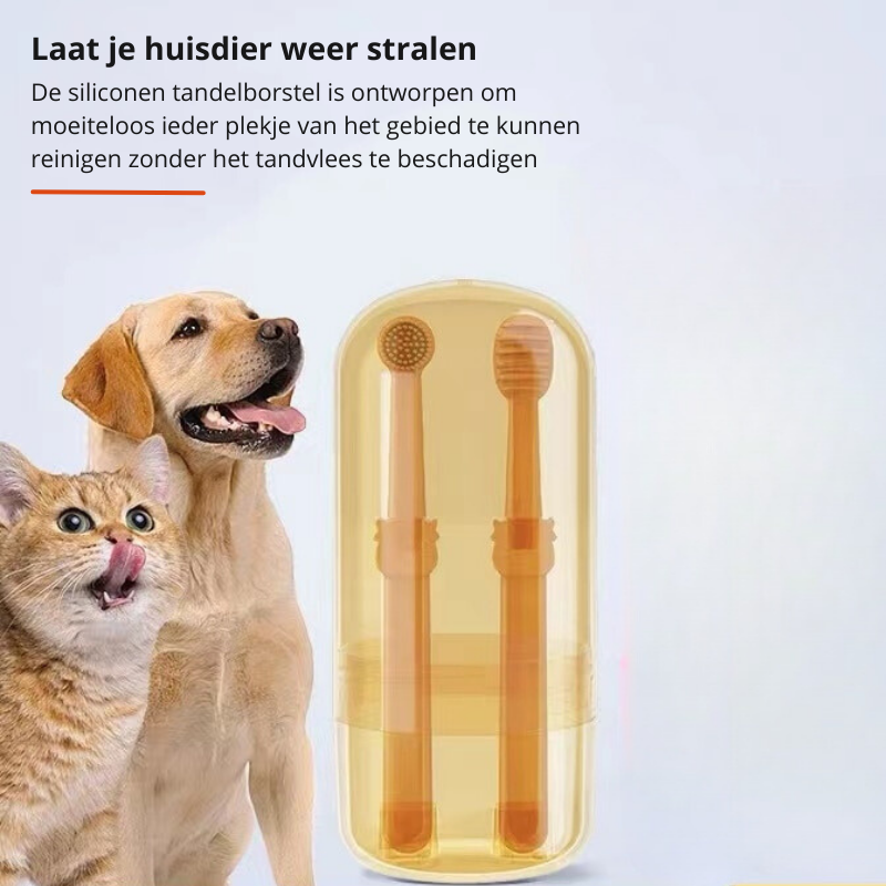 DoggyDent - Brosse à Dents Professionnelle Chien