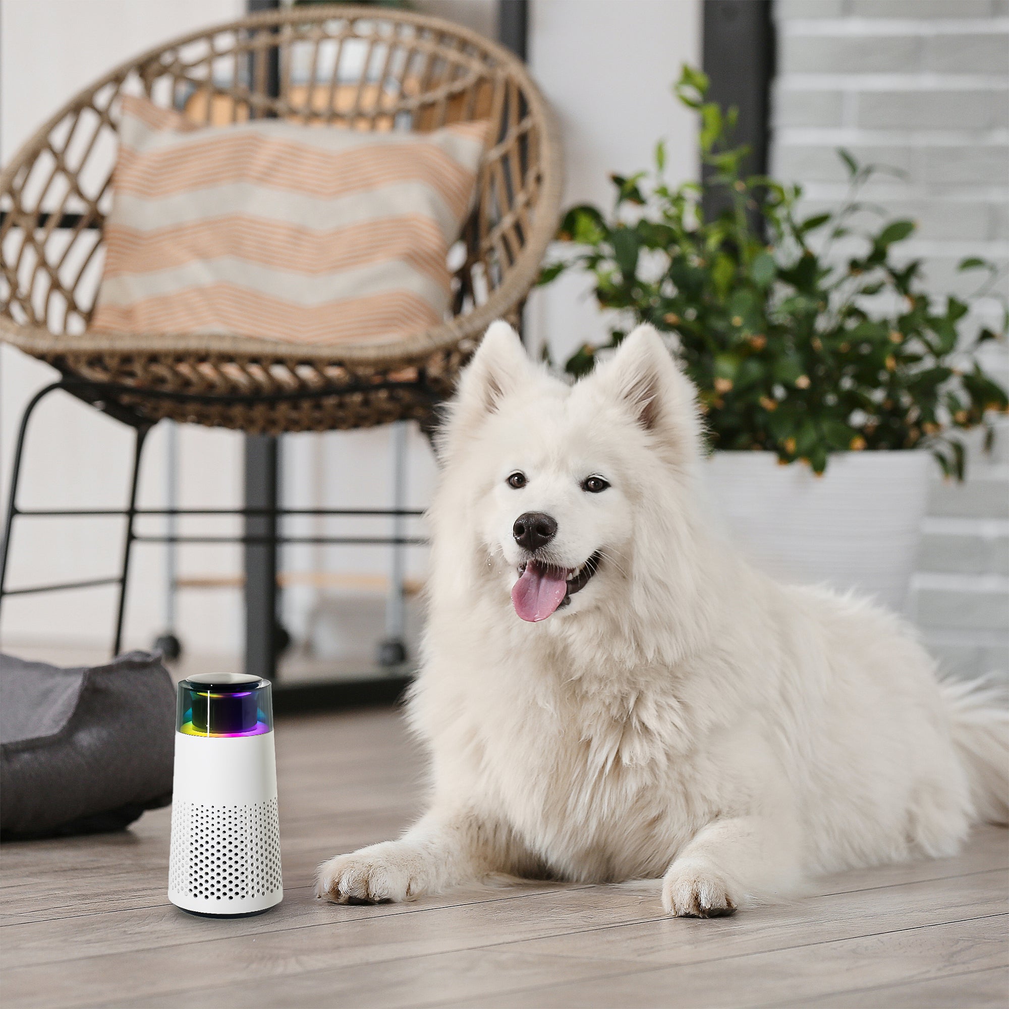 PetFresh - Diffuseur Aromatique pour Animaux