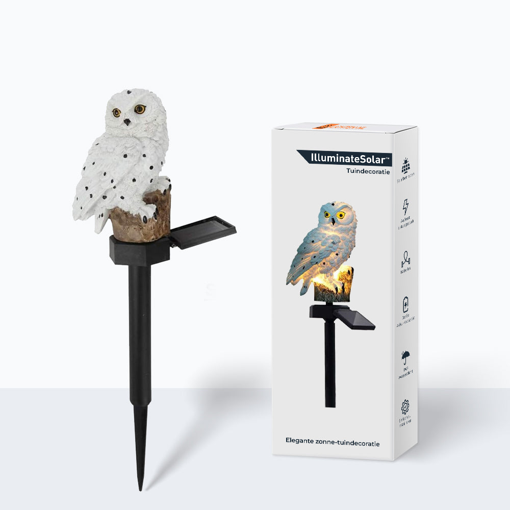 SolarGlow - Lanterne solaire élégante pour extérieur