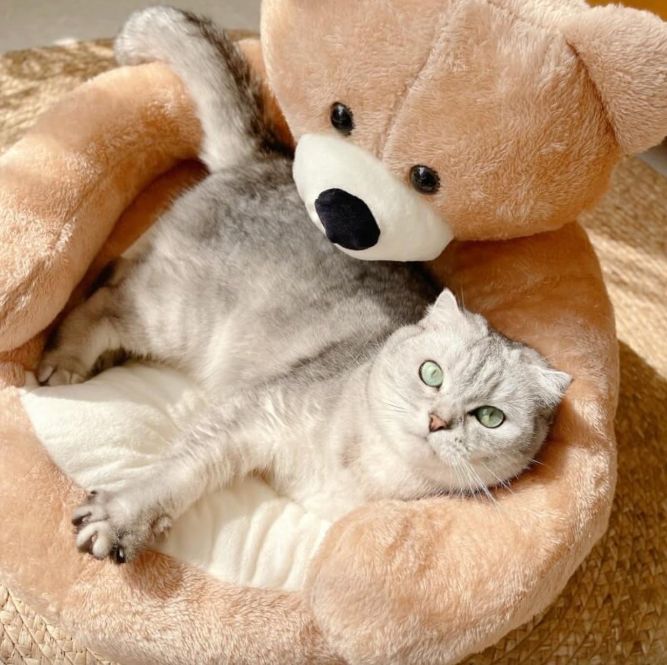 Samiya - Lit Chat Luxe en Peluche pour Confort