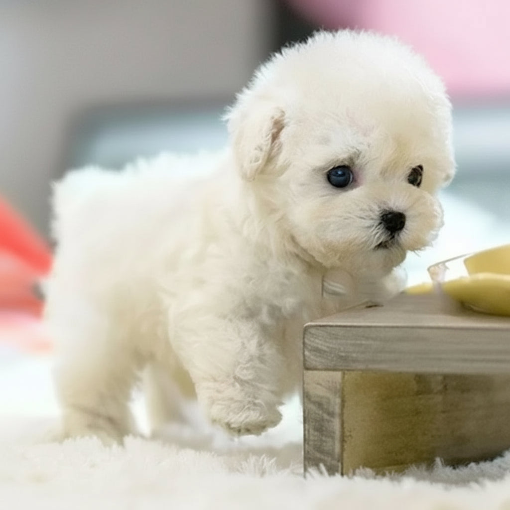 Chiot Robot Interactif | Peluche Interactive avec Réactions Réalistes | Compagnon Amusant pour Enfants 3