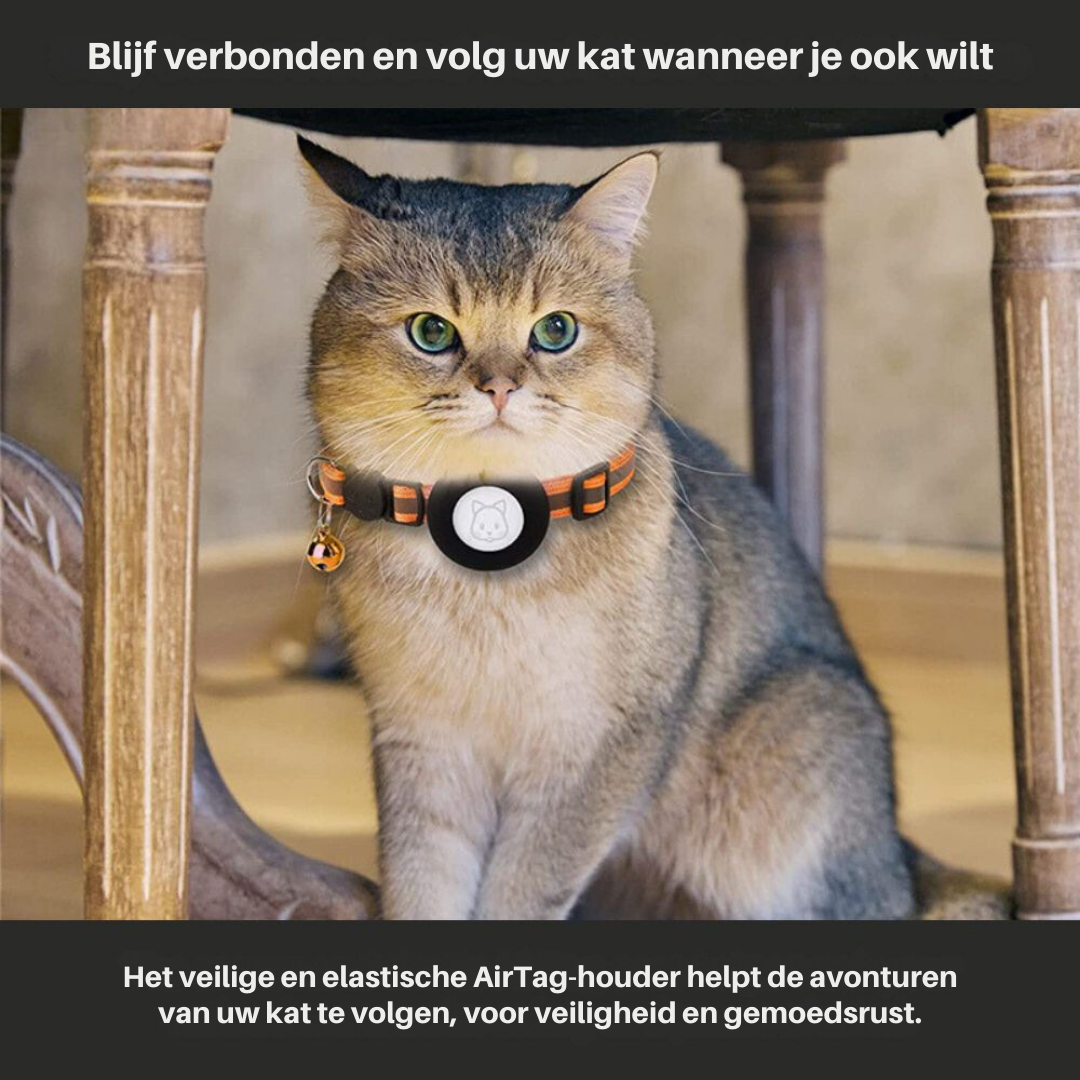 Collier GPS pour Chat avec Fermeture à Dégagement Rapide | Design Réfléchissant pour Sécurité Nocturne 2