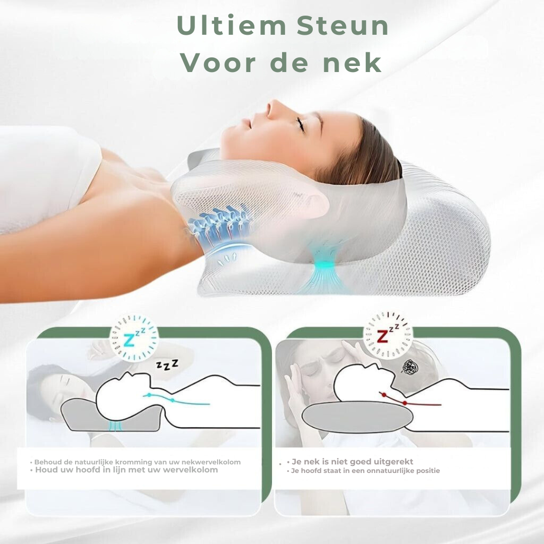 DreamAlign - Oreiller Sommeil Orthopédique