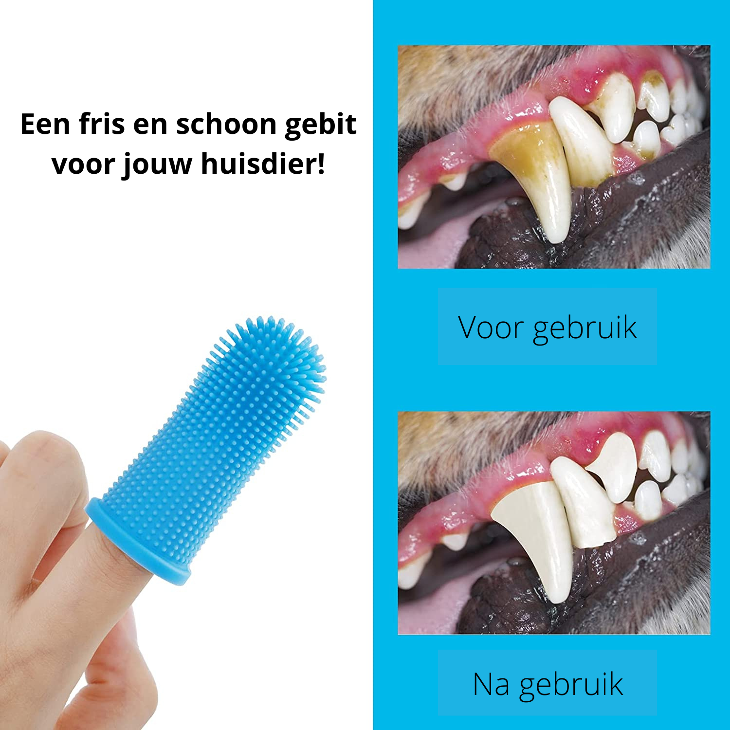 PawClean Pro - Soin Dentaire Sûr pour Chiens