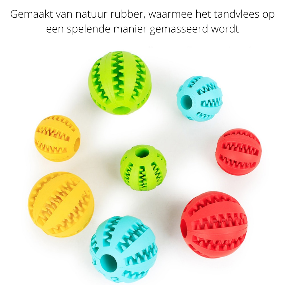 PlayMaster - Jouet Interactif Durable pour Chiens