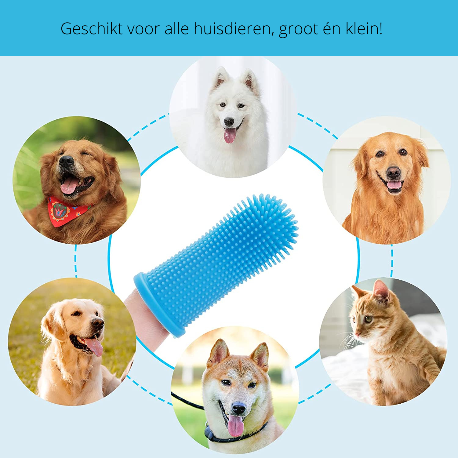 PawClean Pro - Soin Dentaire Sûr pour Chiens