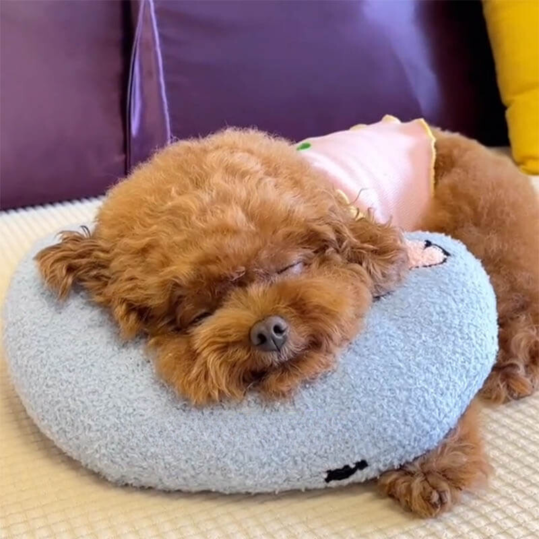 PetEase Luxe - Coussin Orthopédique pour Chien