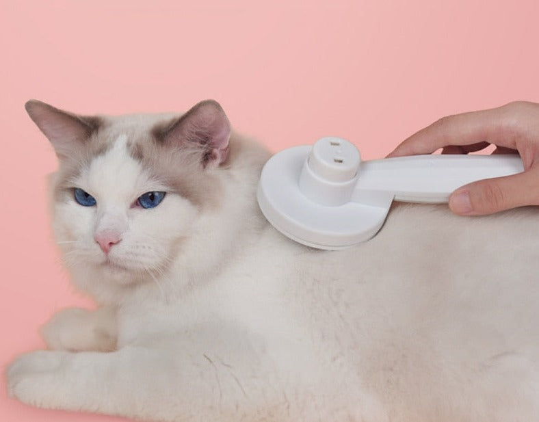SelfClean - Brosse Autonettoyante Innovante pour Chats
