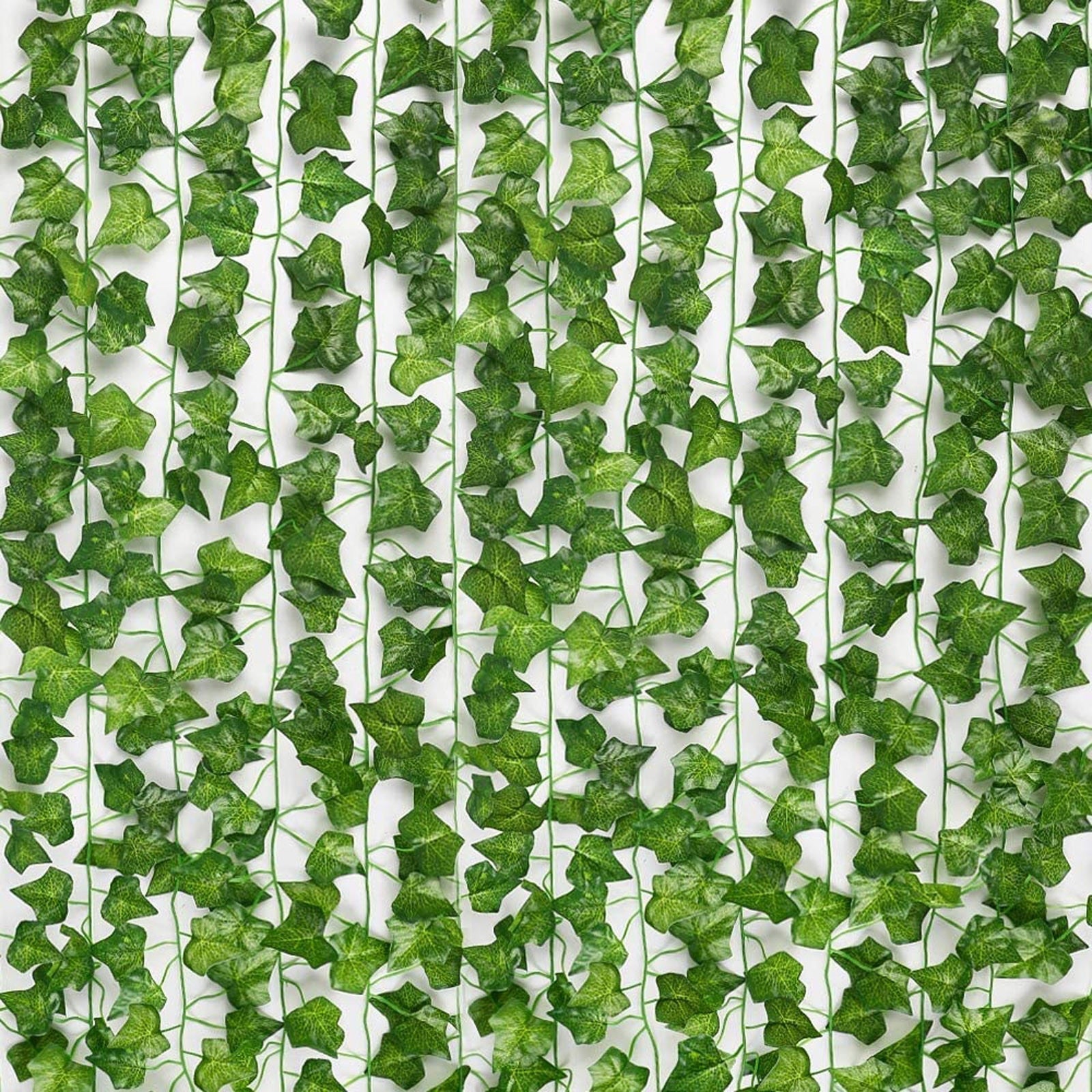 EvergreenGlow – Plantes Vertes Toujours en Saison
