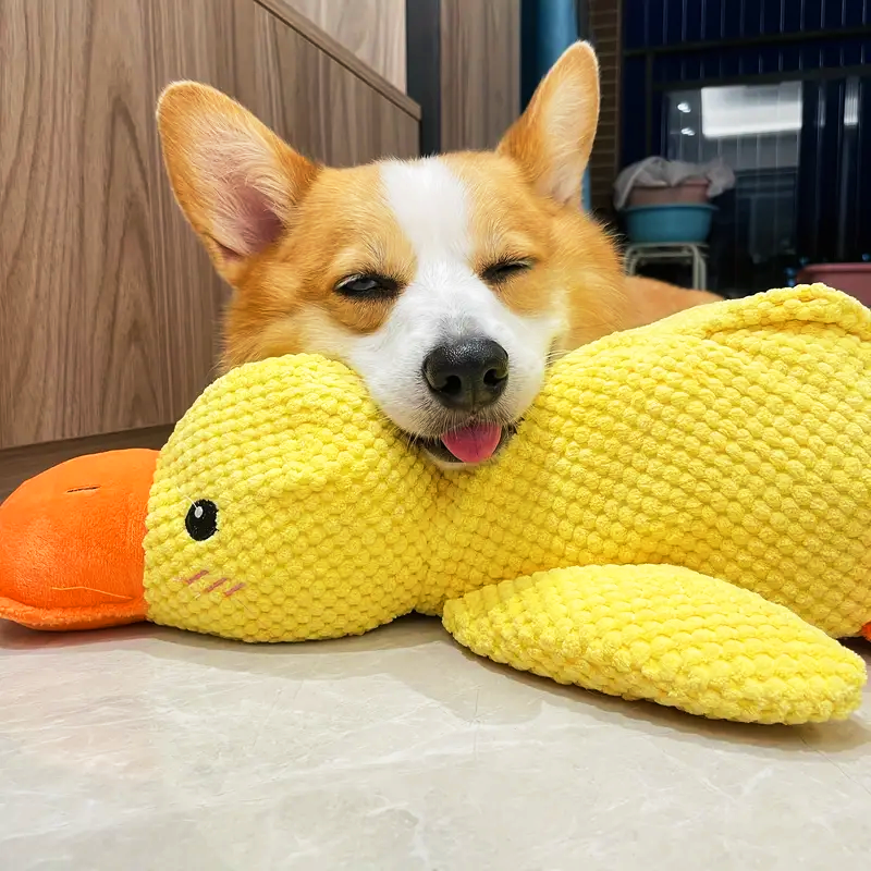 Jouet Pour Chien Interactif en Peluche avec Stimulation Mentale | Réduit le Stress et Favorise le Bien-Être 1