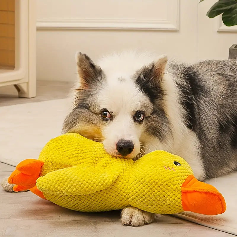 Jouet Pour Chien Interactif en Peluche avec Stimulation Mentale | Réduit le Stress et Favorise le Bien-Être 3