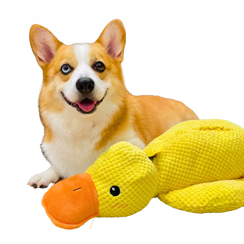Jouet Pour Chien Interactif en Peluche avec Stimulation Mentale | Réduit le Stress et Favorise le Bien-Être 4
