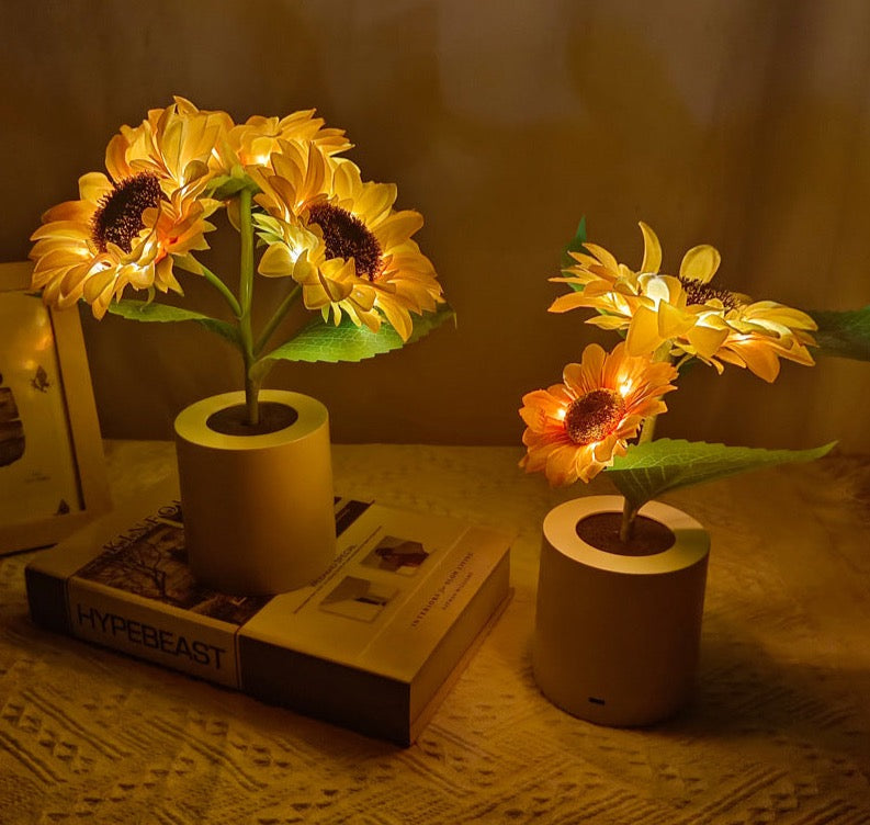 Lampe Décorative | Luminaire Pour Salon avec Luminosité Réglable | Design Coloré pour Ambiance Chaleureuse 0