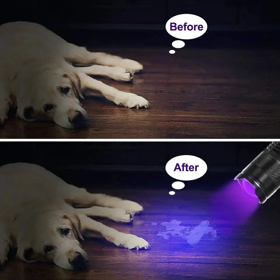 Lampe Torche LED UV Puissante pour Détection de Taches Invisibles | Compacte et Légère pour Usage Domestique 4