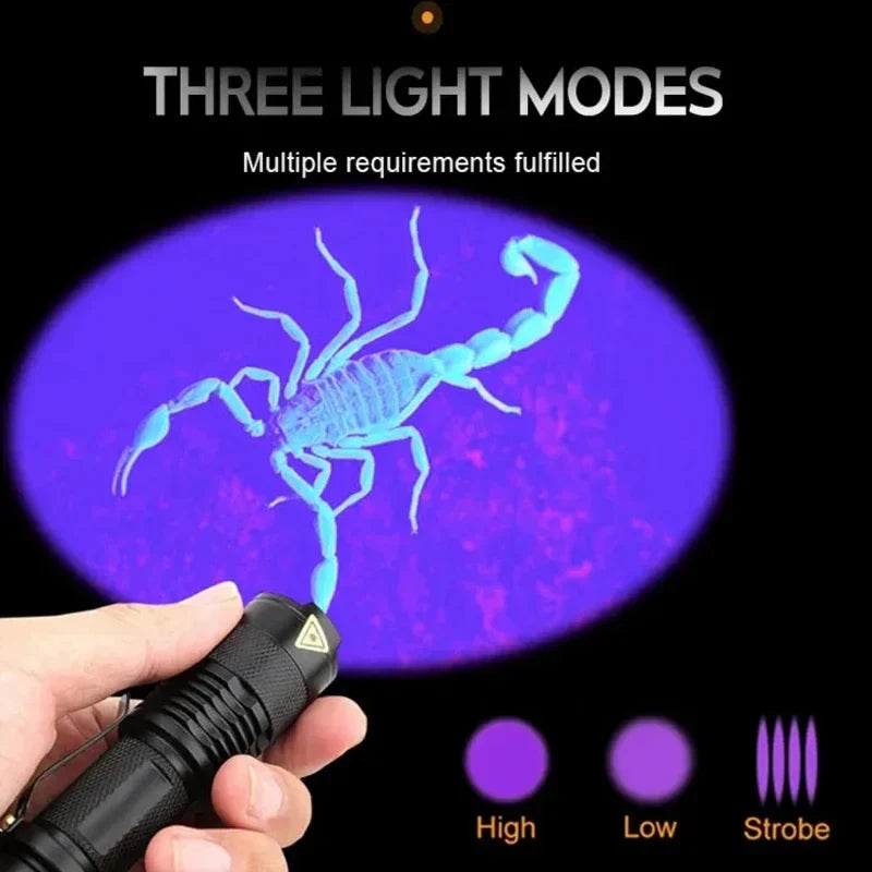 Lampe Torche LED UV Puissante pour Détection de Taches Invisibles | Compacte et Légère pour Usage Domestique 6